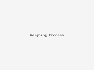 Weighing Process